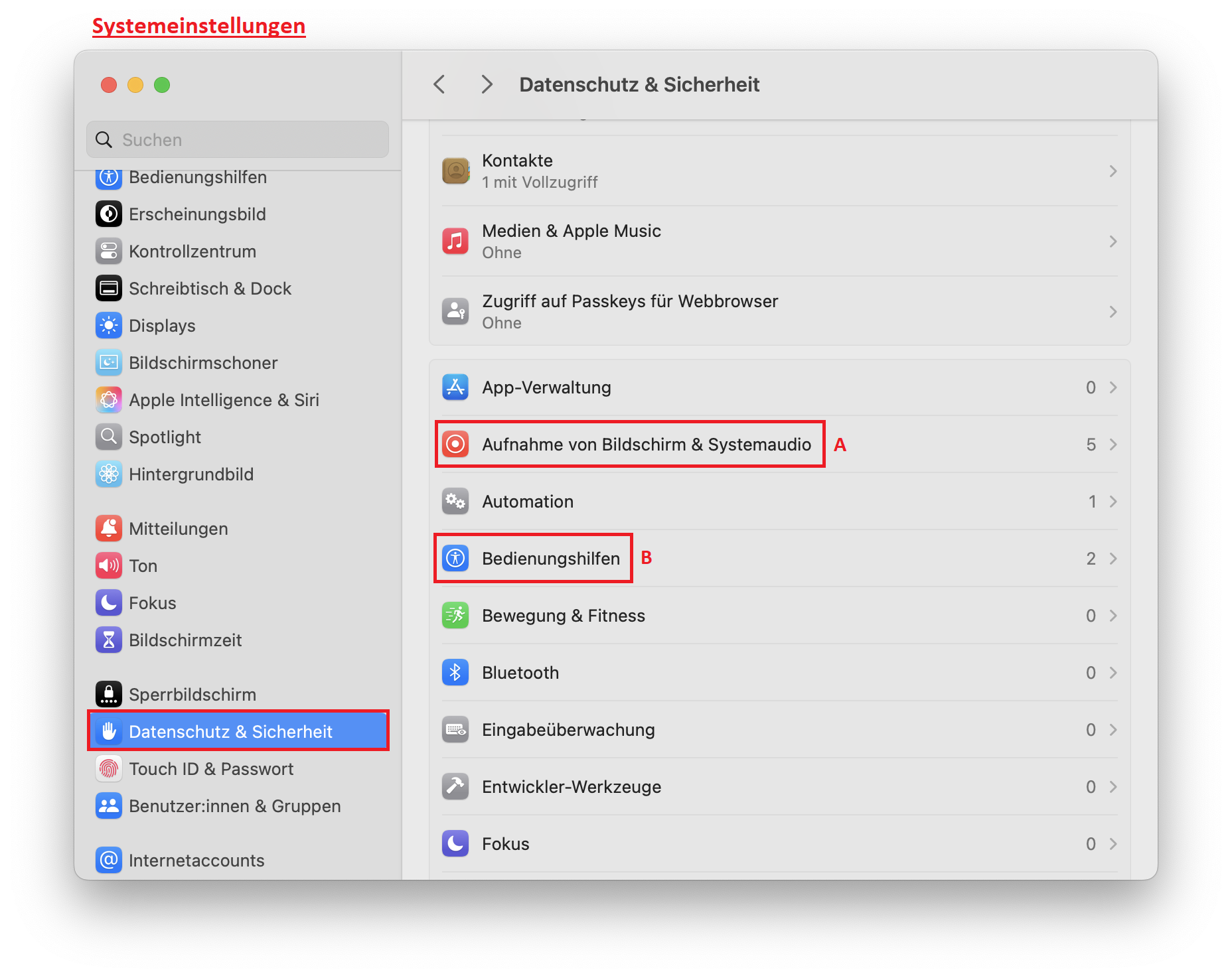 RustDesk-Systemeinstellungen Schritt 1